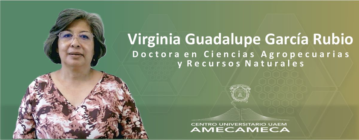CA | Virginia García Rubio