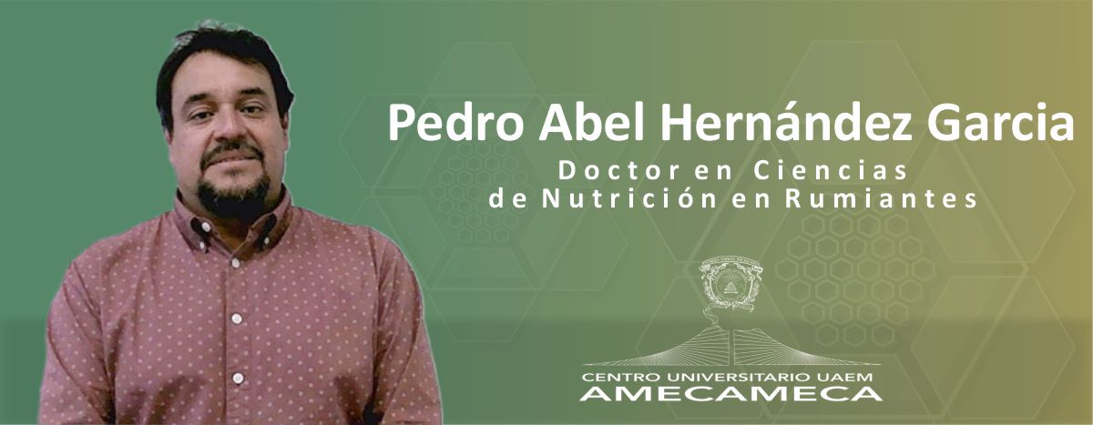 CA | Pedro Abel